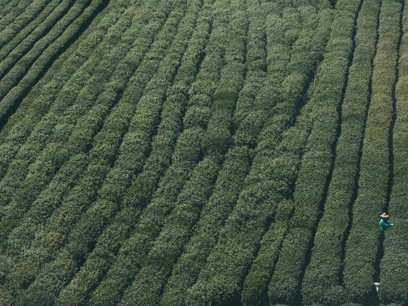 Rainbow Mountain - 3